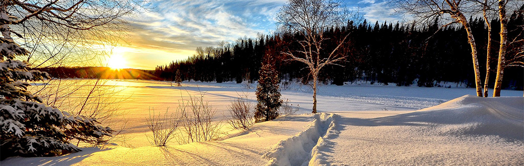 Paysage d'hiver enneigé